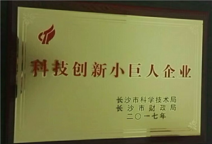 LEDONG SPORTS智能荣获科技创新小巨人企业